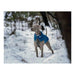 Dog Coat Red Dingo Puffer Turquoise 25 cm - Домашни Животни<<<Дом Градина<<<BigBuy&&&Пътуване и разходки<<<Домашни