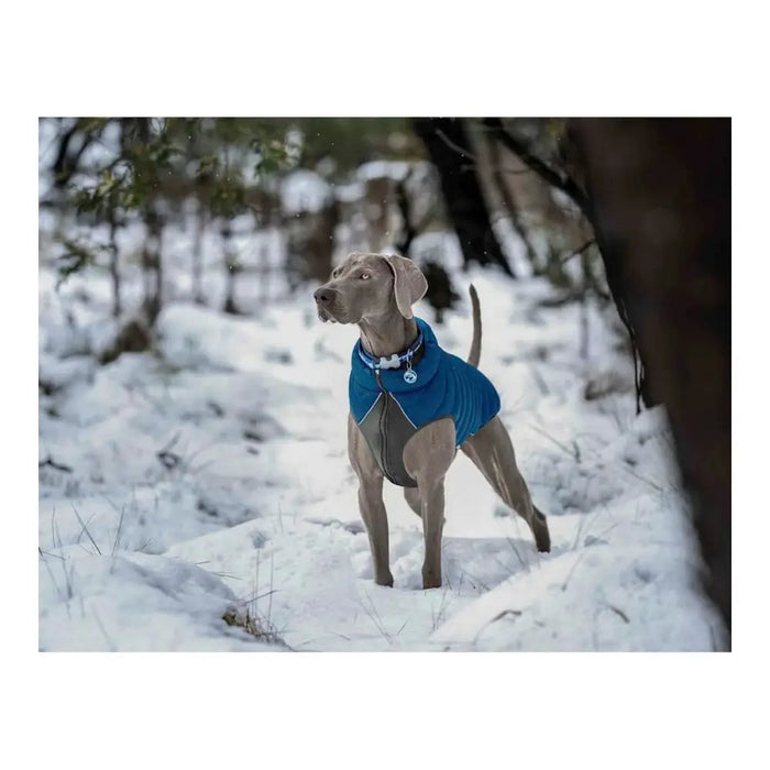 Dog Coat Red Dingo Puffer Turquoise 50 cm - Домашни Животни<<<Дом Градина<<<BigBuy&&&Пътуване и разходки<<<Домашни