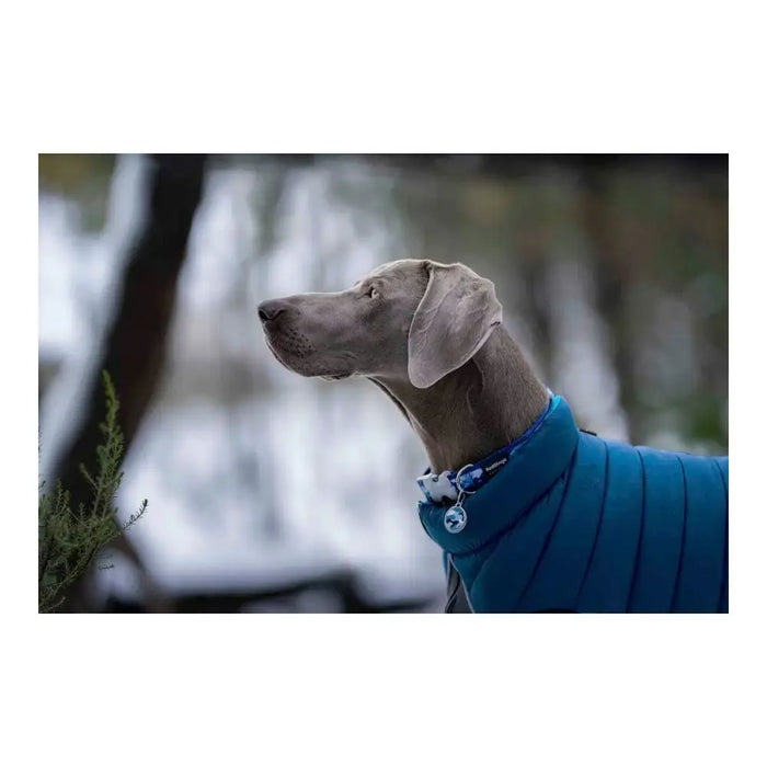 Dog Coat Red Dingo Puffer Turquoise 50 cm - Домашни Животни<<<Дом Градина<<<BigBuy&&&Пътуване и разходки<<<Домашни