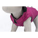 Dog Coat Trixie Arlay Purple XXS - Домашни Животни<<<Дом Градина<<<BigBuy&&&Пътуване и разходки<<<Домашни Животни<<<Дом
