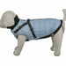 Dog Coat Trixie Blue Grey XS - Домашни Животни<<<Дом Градина<<<BigBuy&&&Пътуване и разходки<<<Домашни Животни<<<Дом