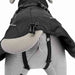 Dog Coat Trixie Brizon Black S - Пътуване и разходки<<<Домашни Животни<<<Дом Градина<<<BigBuy