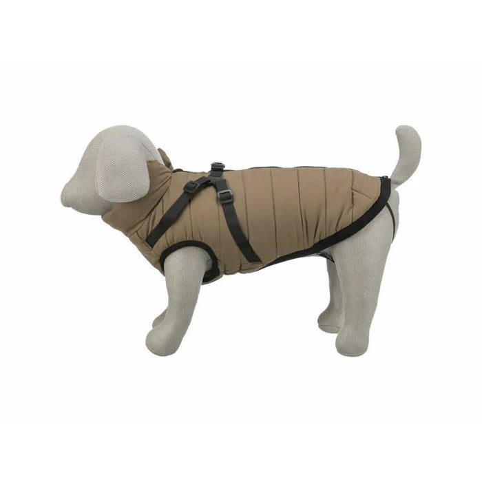 Dog Coat Trixie - Домашни Животни<<<Дом Градина<<<BigBuy&&&Пътуване и разходки<<<Домашни Животни<<<Дом Градина<<<BigBuy