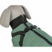 Dog Coat Trixie Green XS - Домашни Животни<<<Дом Градина<<<BigBuy&&&Пътуване и разходки<<<Домашни Животни<<<Дом