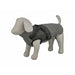 Dog Coat Trixie Grey S - Домашни Животни<<<Дом Градина<<<BigBuy&&&Пътуване и разходки<<<Домашни Животни<<<Дом