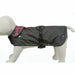 Dog Coat Trixie Hermy Black Red XS - Домашни Животни<<<Дом Градина<<<BigBuy&&&Пътуване и разходки<<<Домашни