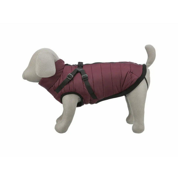 Dog Coat Trixie Pirou Maroon S - Домашни Животни<<<Дом Градина<<<BigBuy&&&Пътуване и разходки<<<Домашни Животни<<<Дом