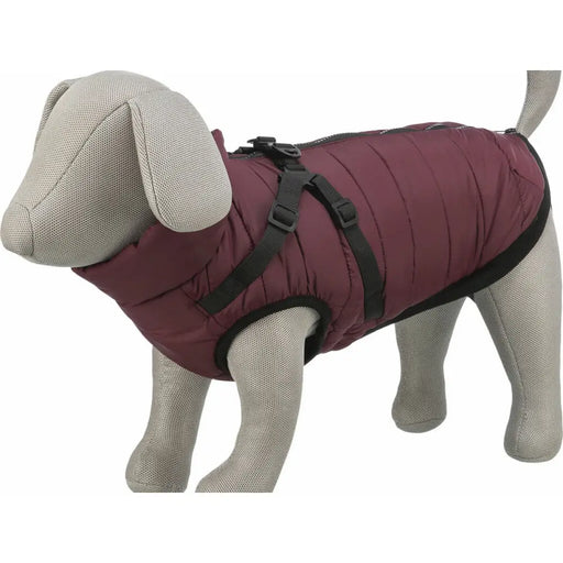 Dog Coat Trixie Pirou Maroon S - Пътуване и разходки<<<Домашни Животни<<<Дом Градина<<<BigBuy