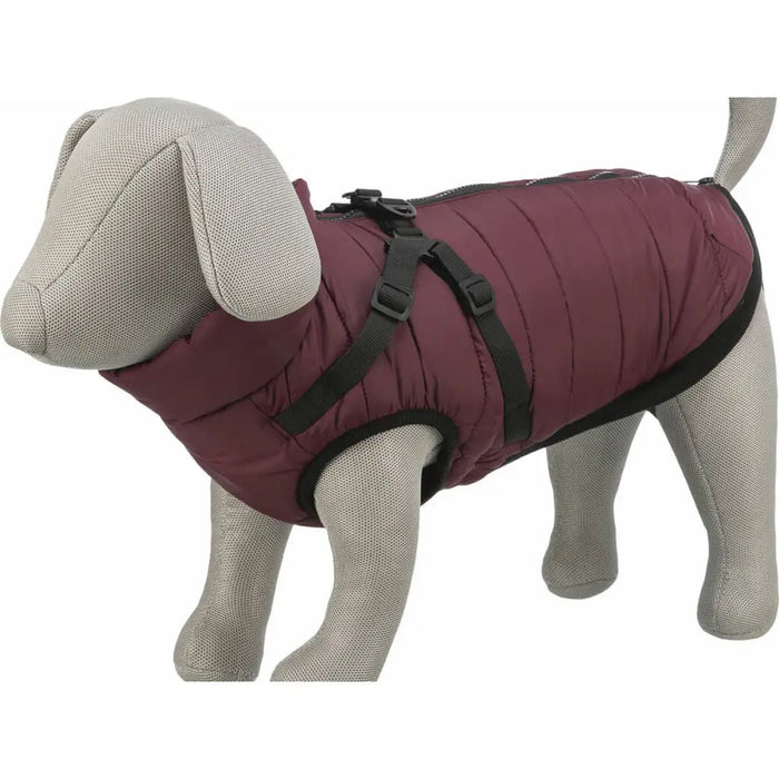 Dog Coat Trixie Pirou Maroon XS - Домашни Животни<<<Дом Градина<<<BigBuy&&&Пътуване и разходки<<<Домашни Животни<<<Дом