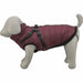 Dog Coat Trixie Pirou Maroon XXS - Домашни Животни<<<Дом Градина<<<BigBuy&&&Пътуване и разходки<<<Домашни Животни<<<Дом