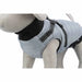 Dog Coat Trixie Pontis Grey S 36 cm - Пътуване и разходки<<<Домашни Животни<<<Дом Градина<<<BigBuy