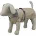 Dog Coat Trixie Rouen Sand M - Домашни Животни<<<Дом Градина<<<BigBuy&&&Пътуване и разходки<<<Домашни Животни<<<Дом
