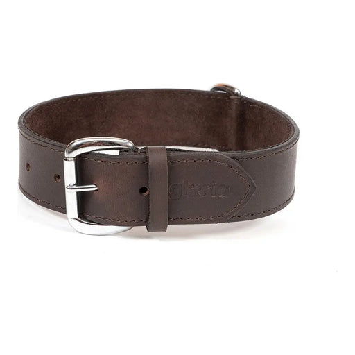 Dog collar Gloria Brown (85 x 4 cm) - Домашни Животни<<<Дом Градина<<<BigBuy&&&Пътуване и разходки<<<Домашни