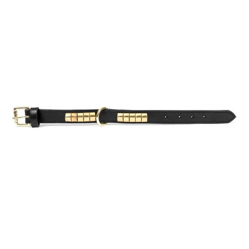 Dog collar Gloria Duna Black Golden (55 x 2.5 cm) - Домашни Животни<<<Дом Градина<<<BigBuy&&&Пътуване и
