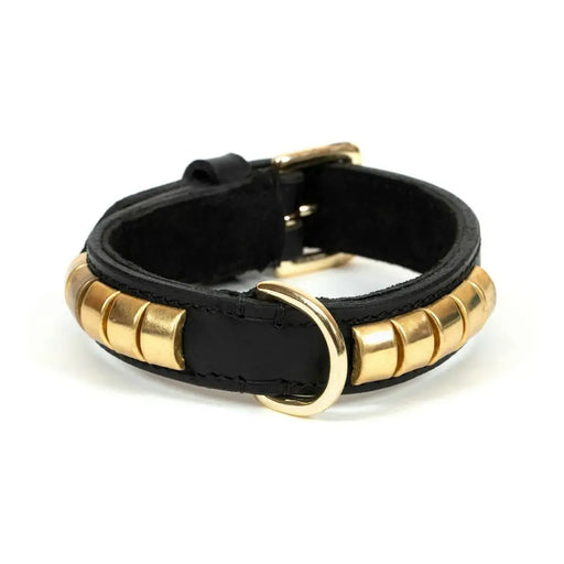 Dog collar Gloria Duna Black Golden (55 x 2.5 cm) - Домашни Животни<<<Дом Градина<<<BigBuy&&&Пътуване и