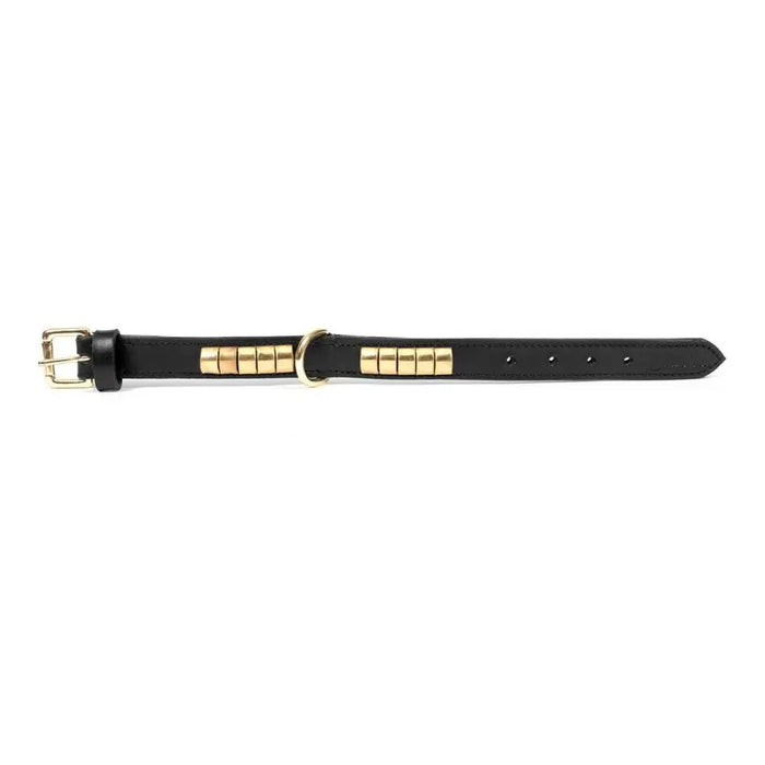 Dog collar Gloria Duna Black Golden (60 x 2.5 cm) - Домашни Животни<<<Дом Градина<<<BigBuy&&&Пътуване и