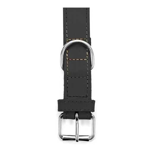Dog collar Gloria Oasis Black (1,5 x 40 cm) - Домашни Животни<<<Дом Градина<<<BigBuy&&&Пътуване и разходки<<<Домашни
