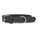 Dog collar Gloria Oasis Black (50 x 2,1 cm) - Домашни Животни<<<Дом Градина<<<BigBuy&&&Пътуване и разходки<<<Домашни