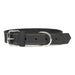 Dog collar Gloria Oasis Black (55 x 2,5 cm) - Домашни Животни<<<Дом Градина<<<BigBuy&&&Пътуване и разходки<<<Домашни