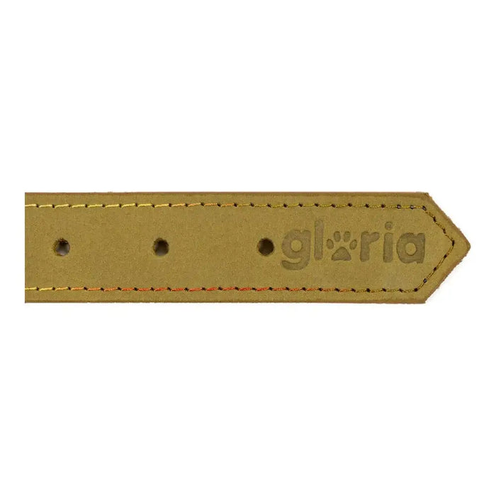 Dog collar Gloria Oasis Green (50 x 2,1 cm) - Домашни Животни<<<Дом Градина<<<BigBuy&&&Пътуване и разходки<<<Домашни