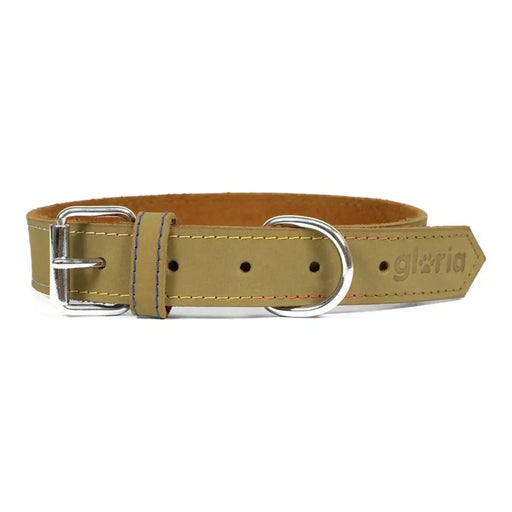 Dog collar Gloria Oasis Green (70 x 3 cm) - Домашни Животни<<<Дом Градина<<<BigBuy&&&Пътуване и разходки<<<Домашни