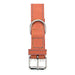 Dog collar Gloria Oasis Red (1,5 x 40 cm) - Домашни Животни<<<Дом Градина<<<BigBuy&&&Пътуване и разходки<<<Домашни