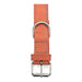 Dog collar Gloria Oasis Red (45 x 1,8 cm) - Домашни Животни<<<Дом Градина<<<BigBuy&&&Пътуване и разходки<<<Домашни