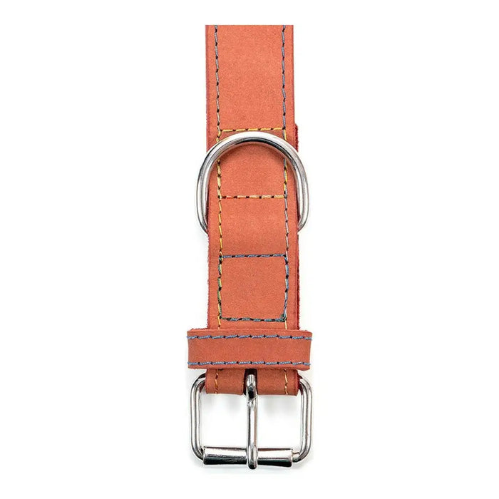 Dog collar Gloria Oasis Red (60 x 3 cm) - Домашни Животни<<<Дом Градина<<<BigBuy&&&Пътуване и разходки<<<Домашни
