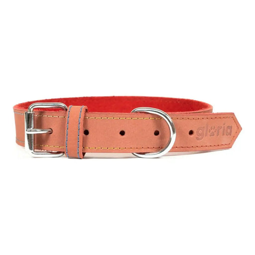 Dog collar Gloria Oasis Red (60 x 3 cm) - Домашни Животни<<<Дом Градина<<<BigBuy&&&Пътуване и разходки<<<Домашни