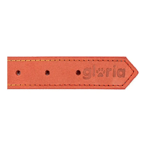 Dog collar Gloria Oasis Red (60 x 3 cm) - Домашни Животни<<<Дом Градина<<<BigBuy&&&Пътуване и разходки<<<Домашни