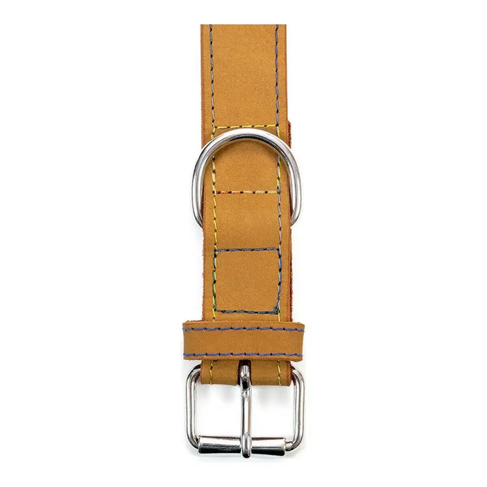 Dog collar Gloria Oasis Yellow (45 x 1,8 cm) - Домашни Животни<<<Дом Градина<<<BigBuy&&&Пътуване и разходки<<<Домашни