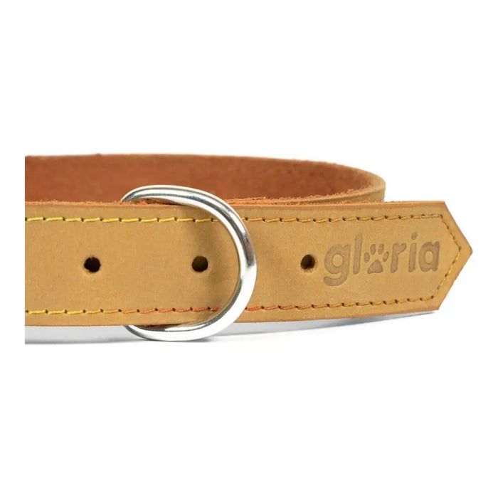Dog collar Gloria Oasis Yellow (45 x 1,8 cm) - Домашни Животни<<<Дом Градина<<<BigBuy&&&Пътуване и разходки<<<Домашни