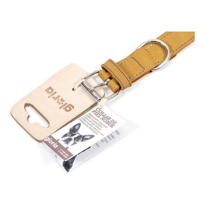 Dog collar Gloria Oasis Yellow (50 x 2,1 cm) - Домашни Животни<<<Дом Градина<<<BigBuy&&&Пътуване и разходки<<<Домашни
