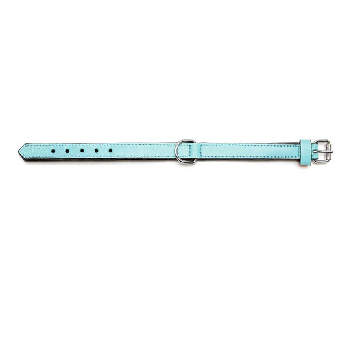 Dog collar Gloria Padded Blue (55 x 2,5 cm) - Домашни Животни<<<Дом Градина<<<BigBuy&&&Пътуване и разходки<<<Домашни