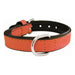 Dog collar Gloria Padded Coral (30 x 1,5 cm) - Домашни Животни<<<Дом Градина<<<BigBuy&&&Пътуване и разходки<<<Домашни