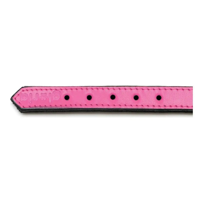 Dog collar Gloria Padded Fuchsia (30 x 1,5 cm) - Домашни Животни<<<Дом Градина<<<BigBuy&&&Пътуване и разходки<<<Домашни