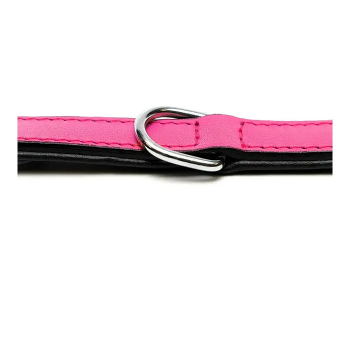 Dog collar Gloria Padded Fuchsia (50 x 2,5 cm) - Домашни Животни<<<Дом Градина<<<BigBuy&&&Пътуване и разходки<<<Домашни