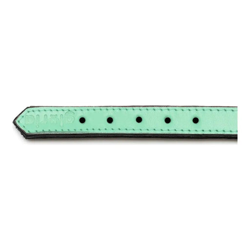 Dog collar Gloria Padded Green (30 x 1,5 cm) - Домашни Животни<<<Дом Градина<<<BigBuy&&&Пътуване и разходки<<<Домашни
