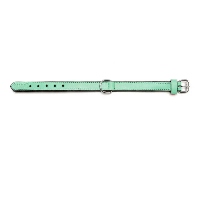 Dog collar Gloria Padded Green (40 x 2 cm) - Домашни Животни<<<Дом Градина<<<BigBuy&&&Пътуване и разходки<<<Домашни