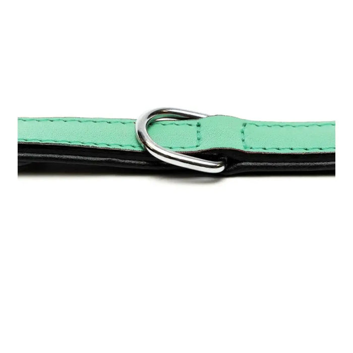 Dog collar Gloria Padded Green (50 x 2,5 cm) - Домашни Животни<<<Дом Градина<<<BigBuy&&&Пътуване и разходки<<<Домашни