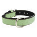 Dog collar Gloria Padded Green (55 x 2,5 cm) - Домашни Животни<<<Дом Градина<<<BigBuy&&&Пътуване и разходки<<<Домашни