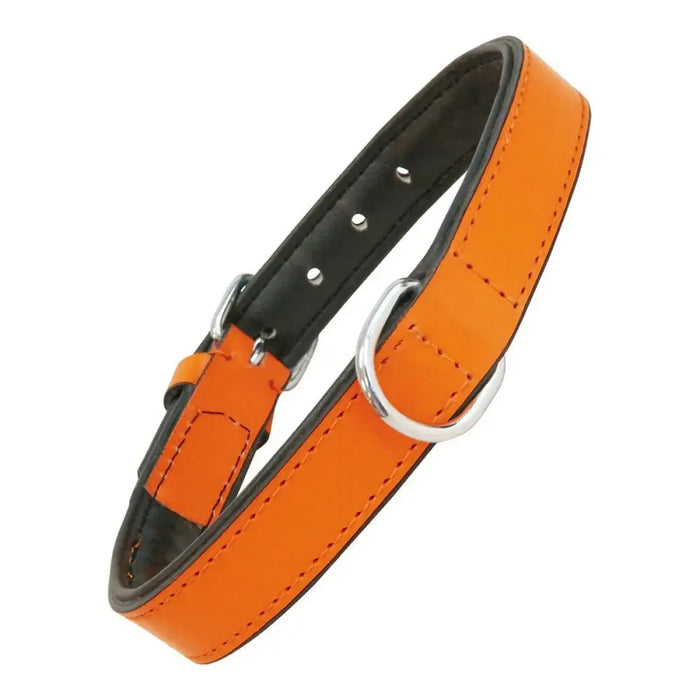 Dog collar Gloria Padded Orange (55 x 2,5 cm) - Домашни Животни<<<Дом Градина<<<BigBuy&&&Пътуване и разходки<<<Домашни