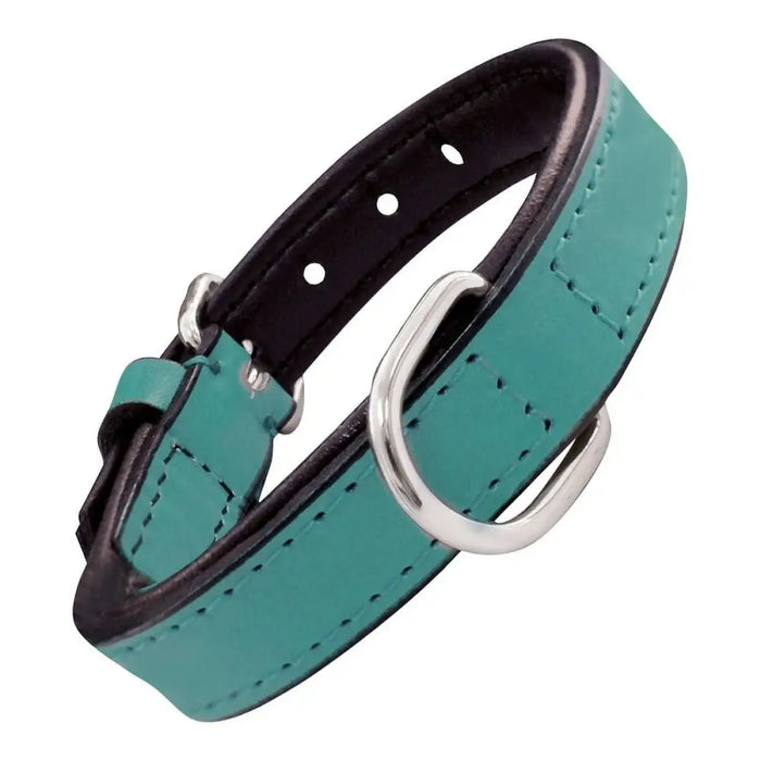Dog collar Gloria Padded Turquoise (35 x 1,5 cm) - Домашни Животни<<<Дом Градина<<<BigBuy&&&Пътуване и