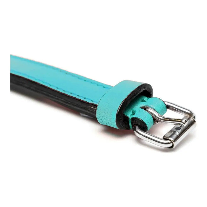 Dog collar Gloria Padded Turquoise 45 cm (45 x 2 cm) - Домашни Животни<<<Дом Градина<<<BigBuy&&&Пътуване и