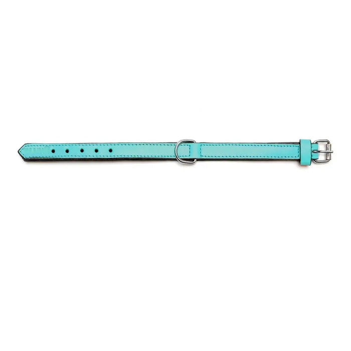 Dog collar Gloria Padded Turquoise 45 cm (45 x 2 cm) - Домашни Животни<<<Дом Градина<<<BigBuy&&&Пътуване и