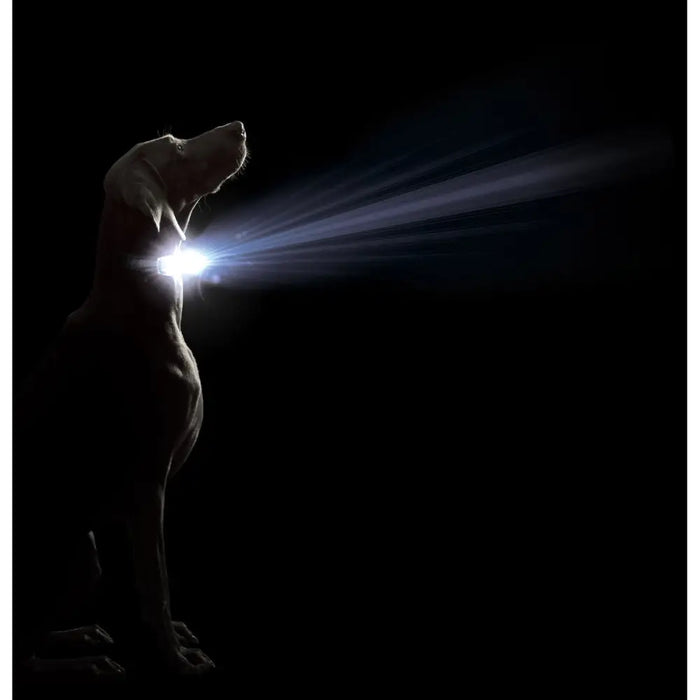 Dog collar Dog Gone Smart Red L Light - Домашни Животни<<<Дом Градина<<<BigBuy&&&Пътуване и разходки<<<Домашни