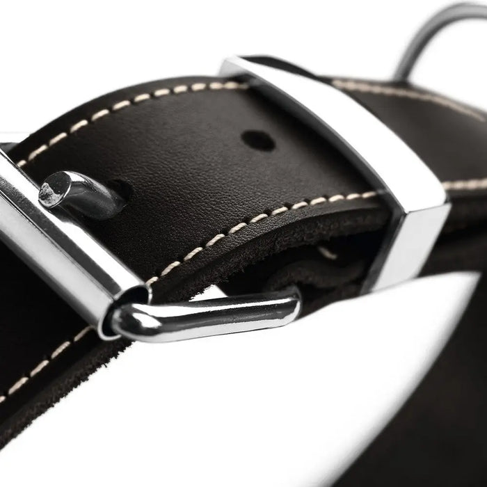 Dog collar Hunter Aalborg Black (24-30 cm) - Домашни Животни<<<Дом Градина<<<BigBuy&&&Пътуване и разходки<<<Домашни