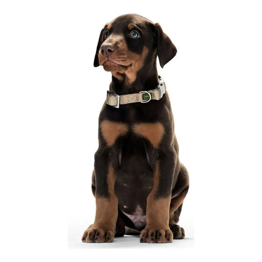 Dog collar Hunter Alu-Strong Turquoise 20 (30-45 cm) - Домашни Животни<<<Дом Градина<<<BigBuy&&&Пътуване и