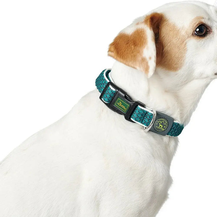 Dog collar Hunter Basic Thread Size M Anthracite (33-50 cm) - Домашни Животни<<<Дом Градина<<<BigBuy&&&Пътуване и