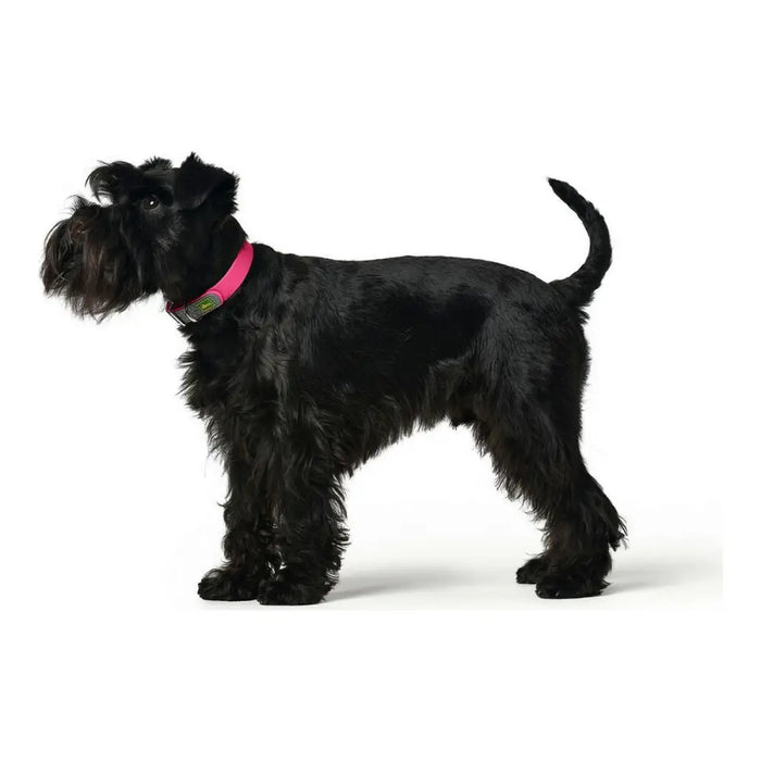 Dog collar Hunter Convenience Pink S/M - Домашни Животни<<<Дом Градина<<<BigBuy&&&Пътуване и разходки<<<Домашни